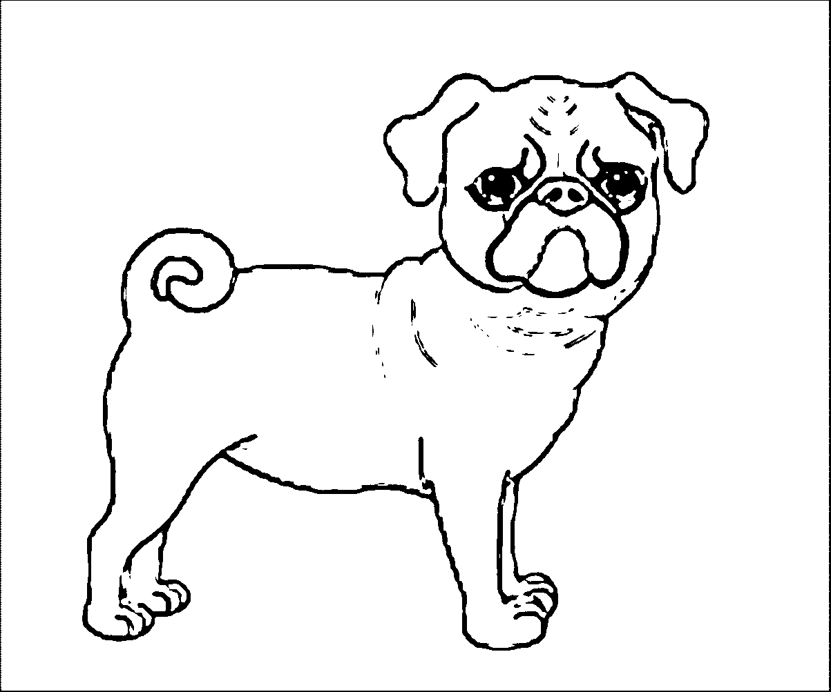Pug Puppy Coloring Pages Pug Dog Curly Tail Dog Puppy Coloring Page Wecoloringpage