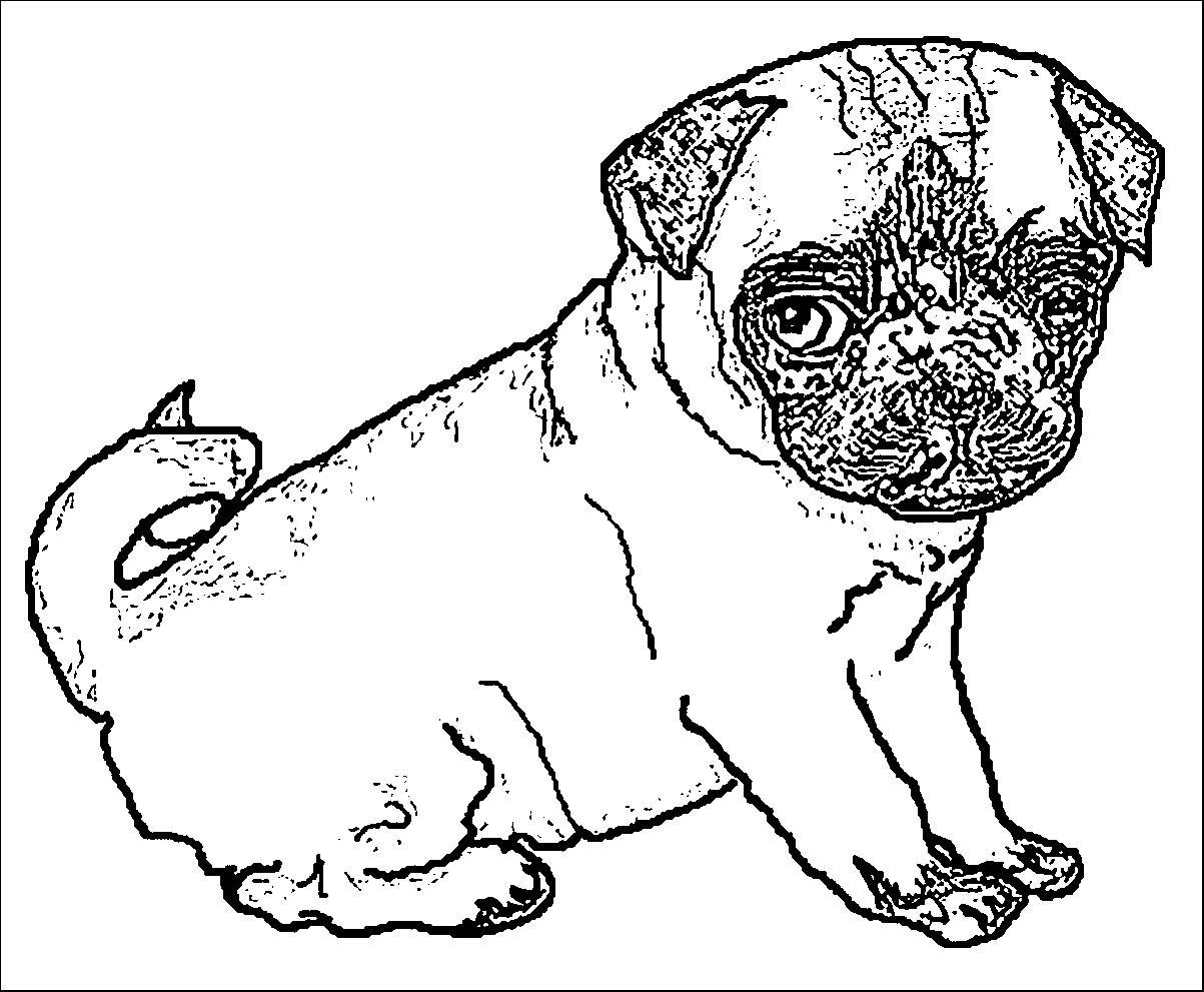 Pug Puppy Coloring Pages Pug Puppy Sketch Puppy Dog Coloring Page Wecoloringpage Coloring