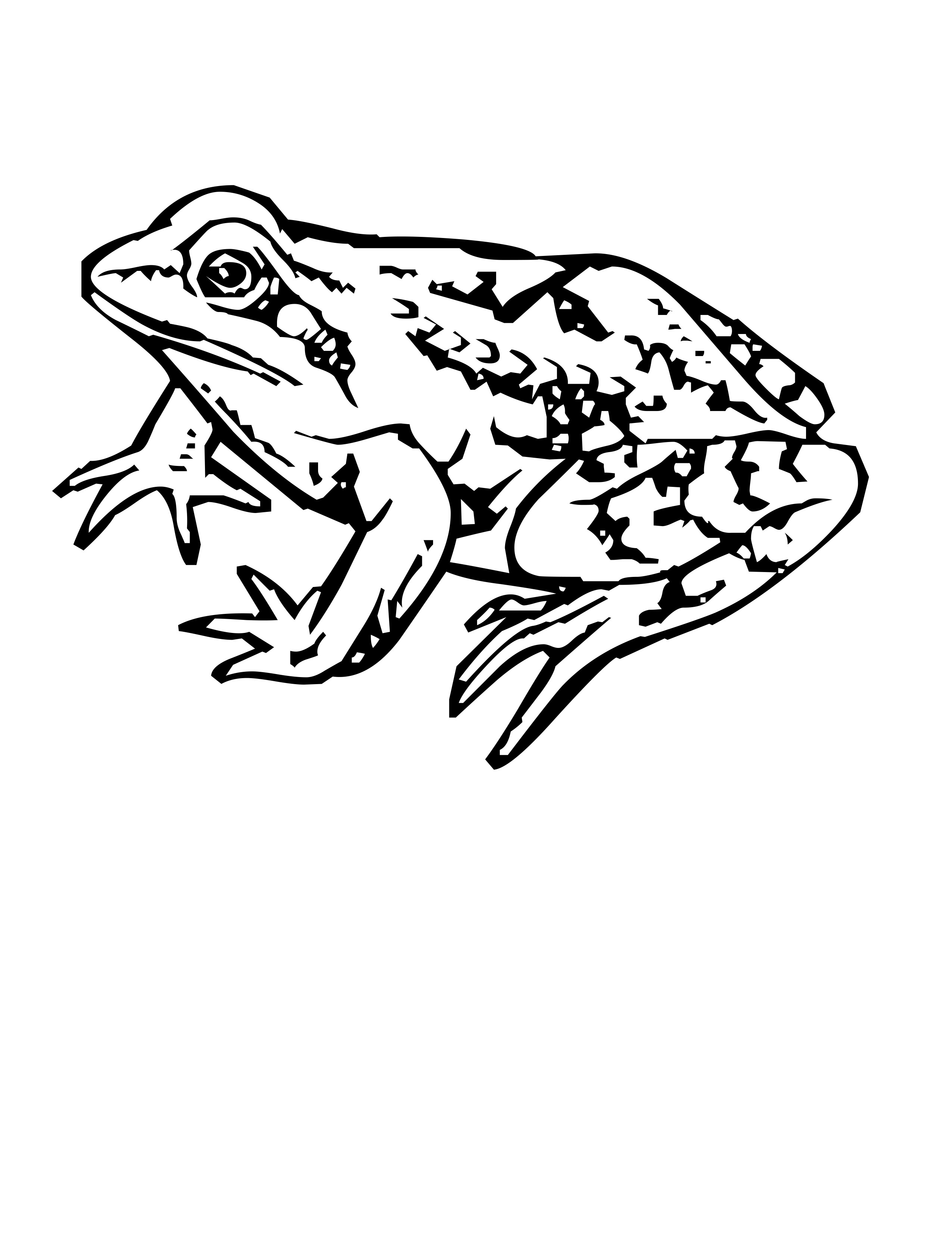 Rainforest Frog Coloring Page Free Frog Coloring Pages