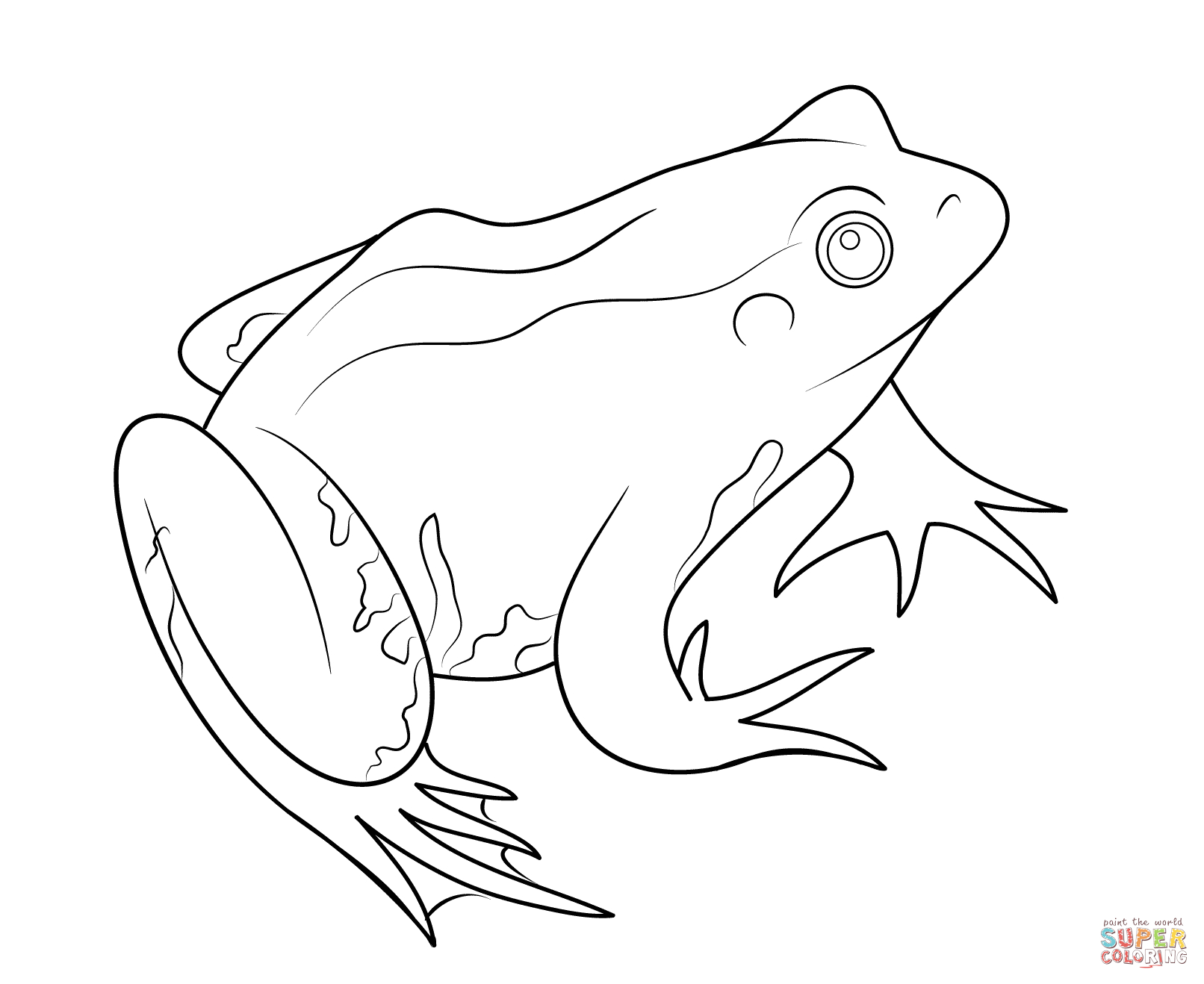Rainforest Frog Coloring Page Frog Coloring Page Free Printable Coloring Pages