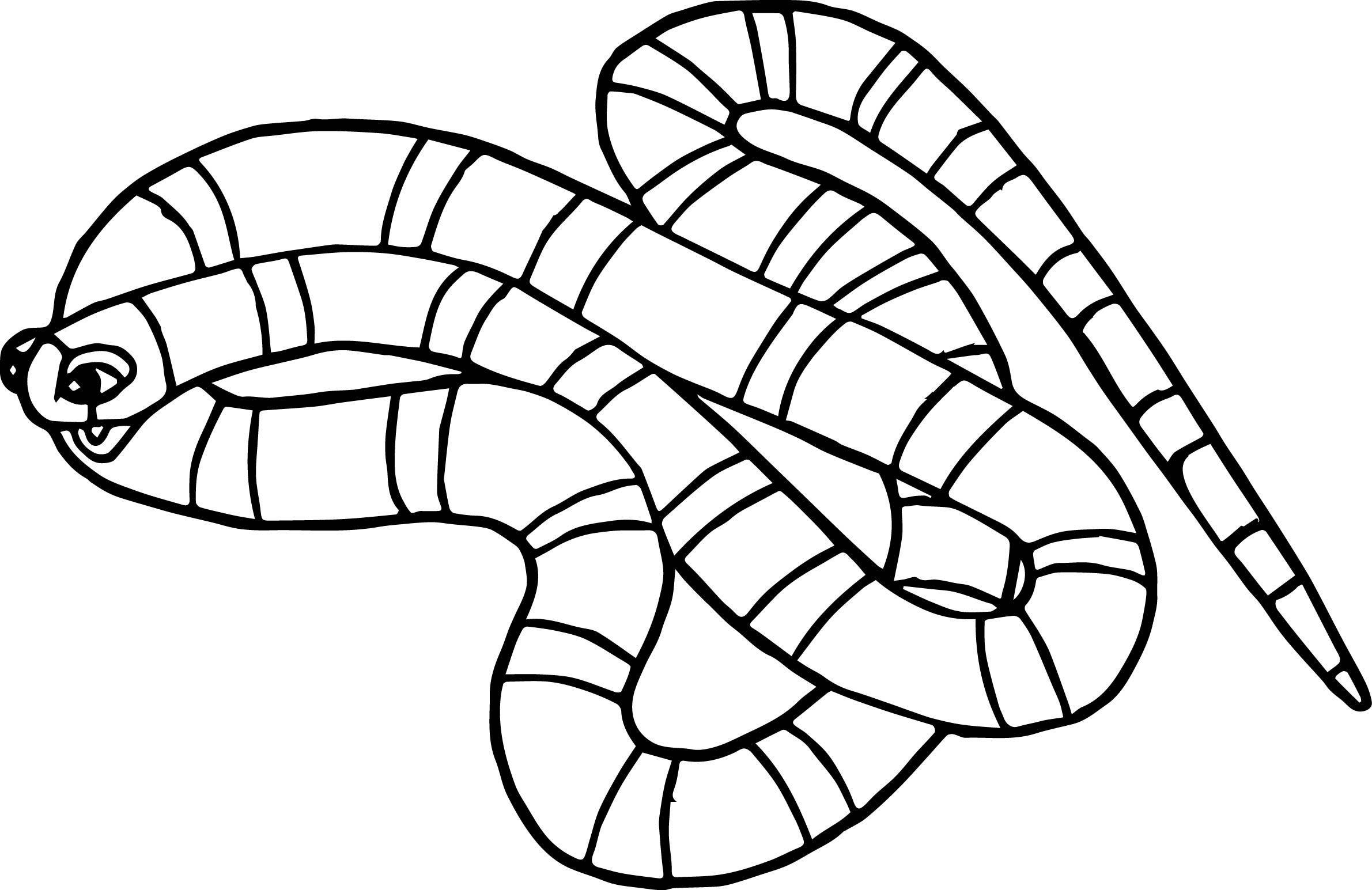 Rainforest Frog Coloring Page Rainforest Coral Snake Coloring Page Wecoloringpage
