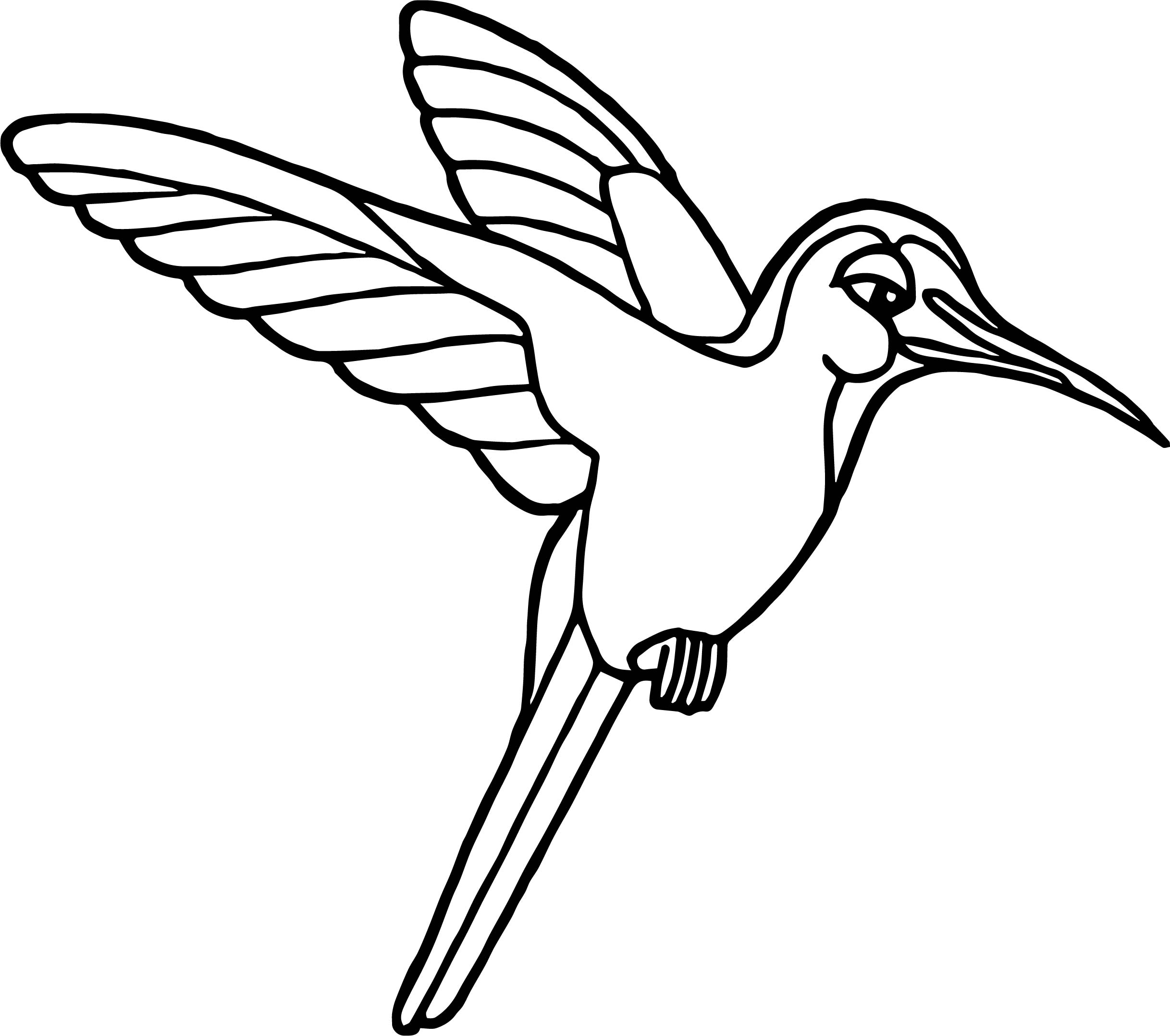 Rainforest Frog Coloring Page Rainforest Hummingbird Coloring Page Wecoloringpage