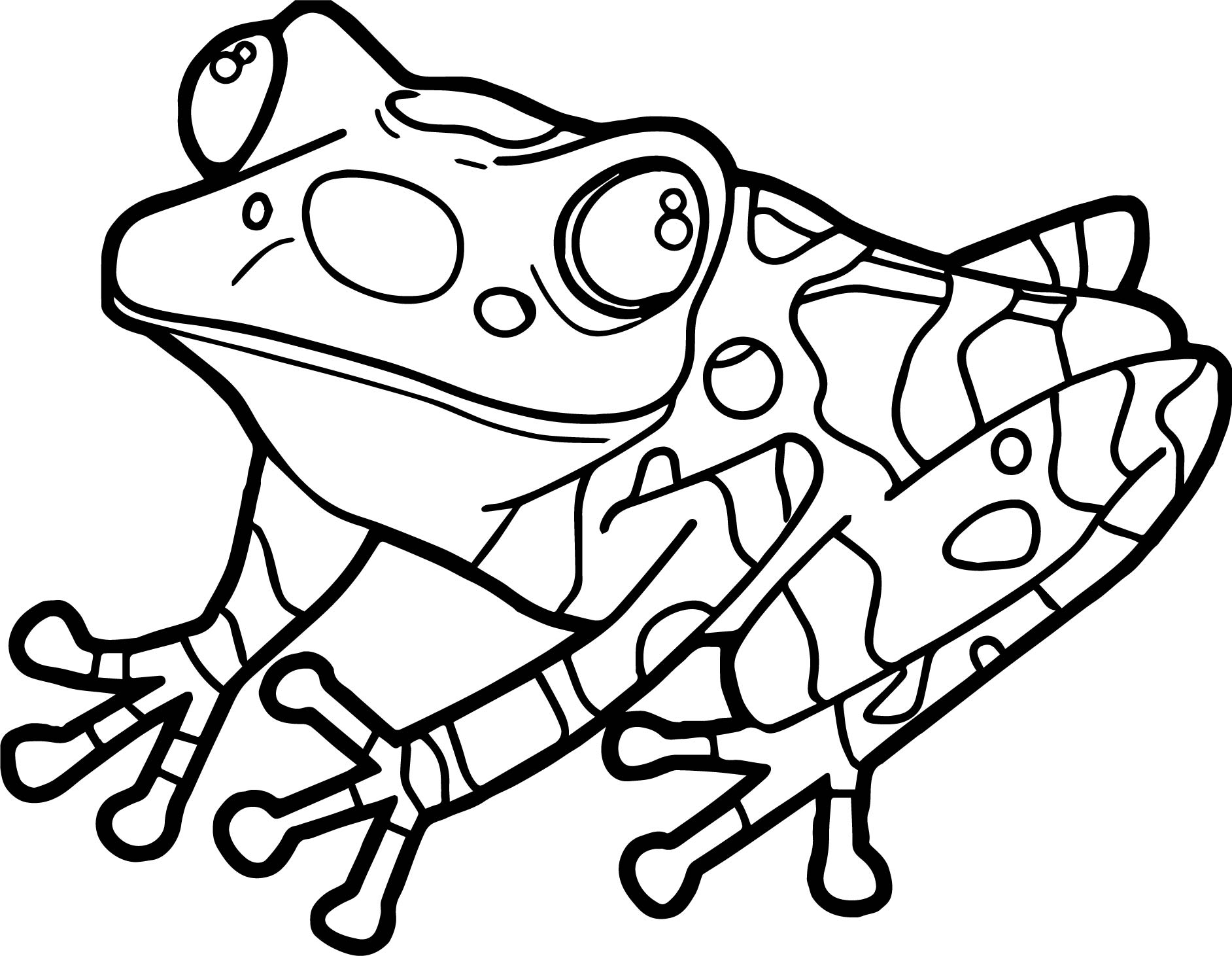 Rainforest Frog Coloring Page Realistic Frog Coloring Pages Free Download Best Realistic Frog