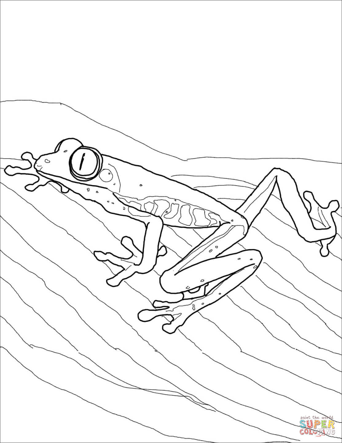Rainforest Frog Coloring Page Red Eyed Tree Frog Coloring Page Free Printable Coloring Pages
