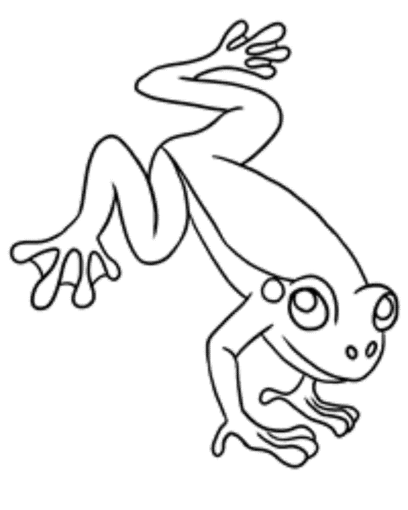 Rainforest Frog Coloring Page Red Eyed Tree Frog Coloring Page Tingameday
