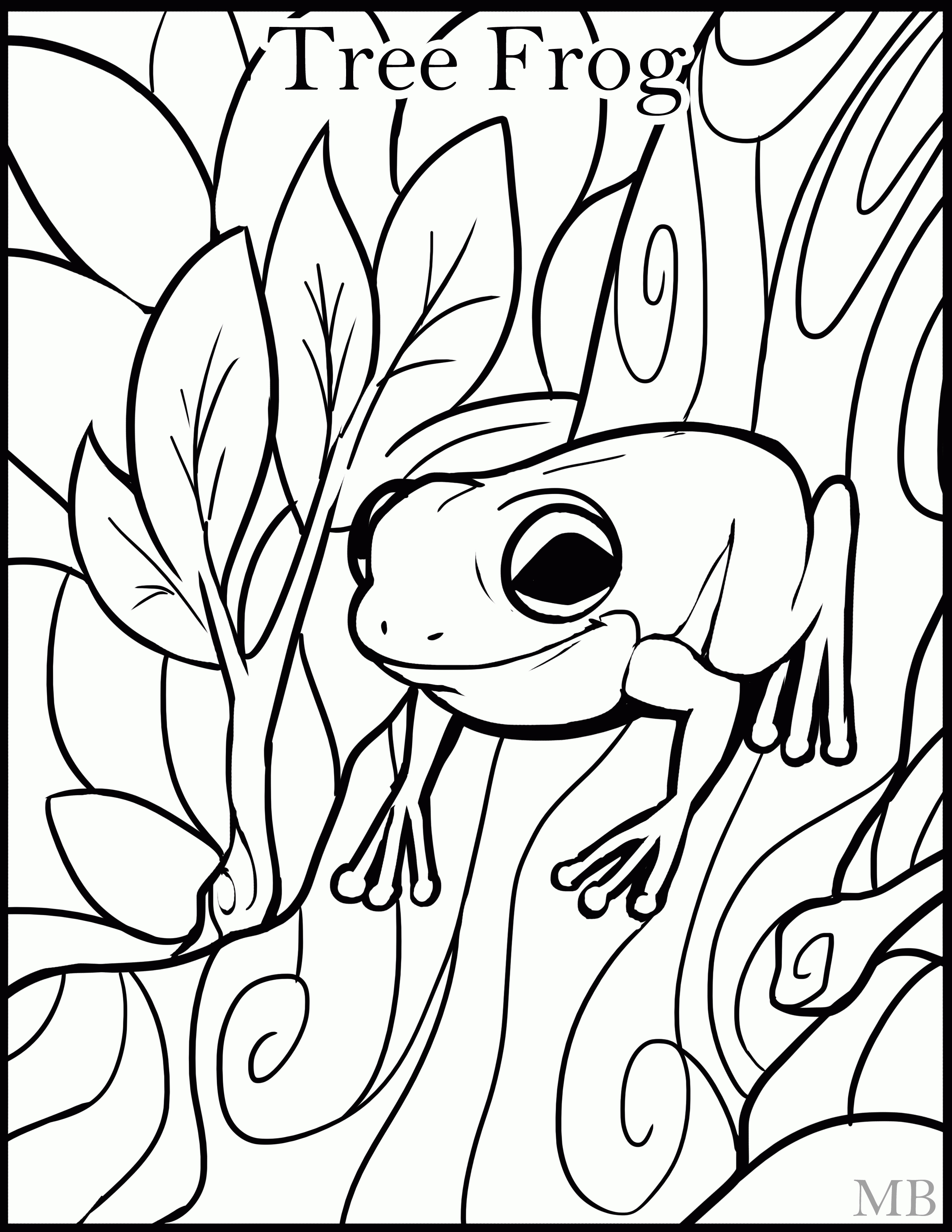 Rainforest Frog Coloring Page Tree Frog Coloring Page Clipart Panda Free Clipart Images