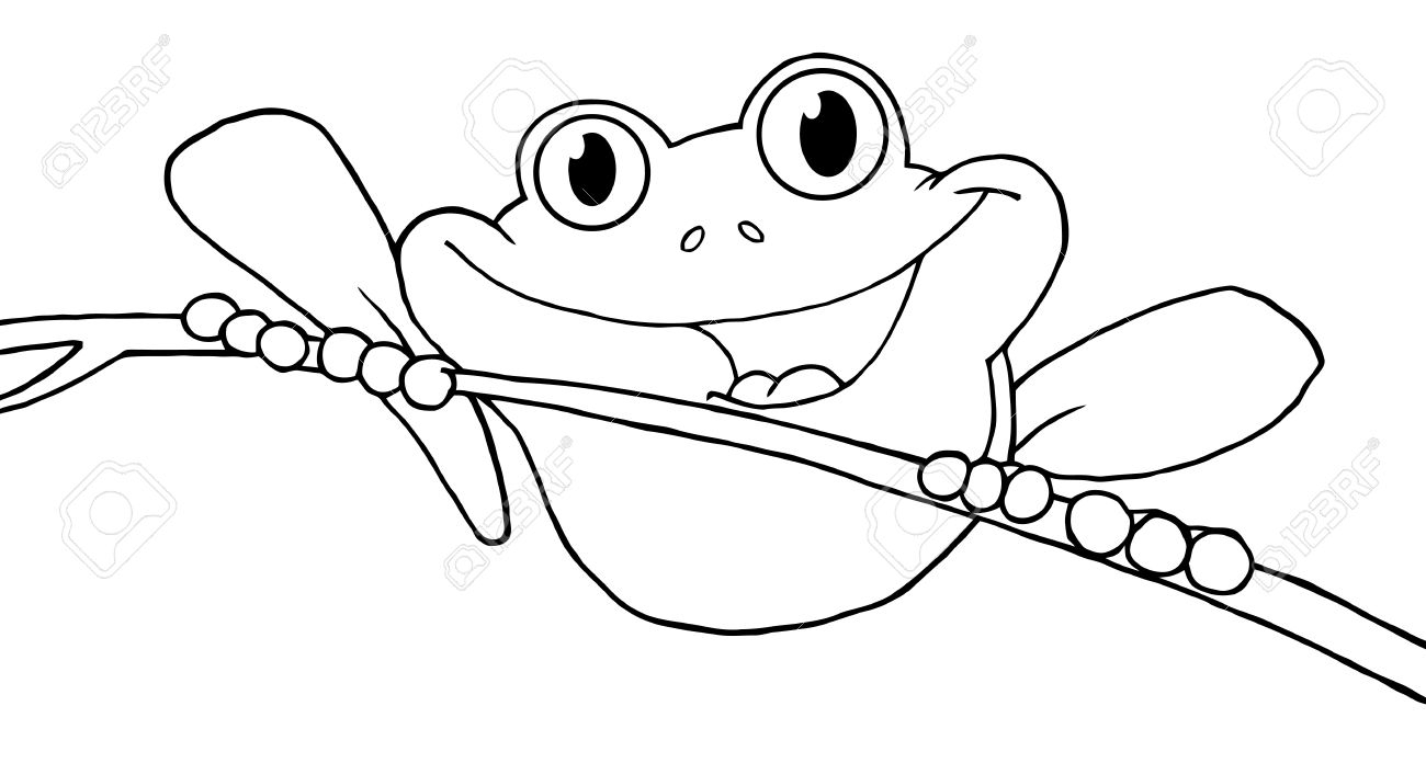 Rainforest Frog Coloring Page Tree Frog Drawing At Getdrawings Free For Personal Use Tree