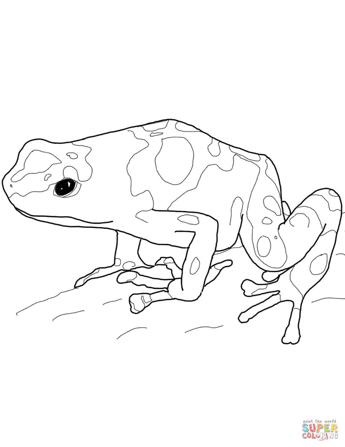 Rainforest Frog Coloring Page Yellow Banded Poison Dart Frog Coloring Page Free Printable