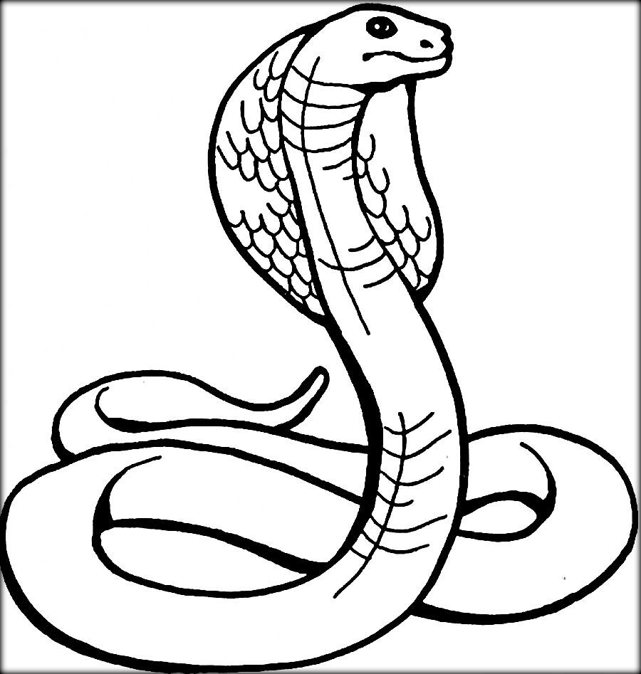 Rattle Coloring Page Coloring Coloring Cobra Snake Pages For Kids Animal Page Sheet