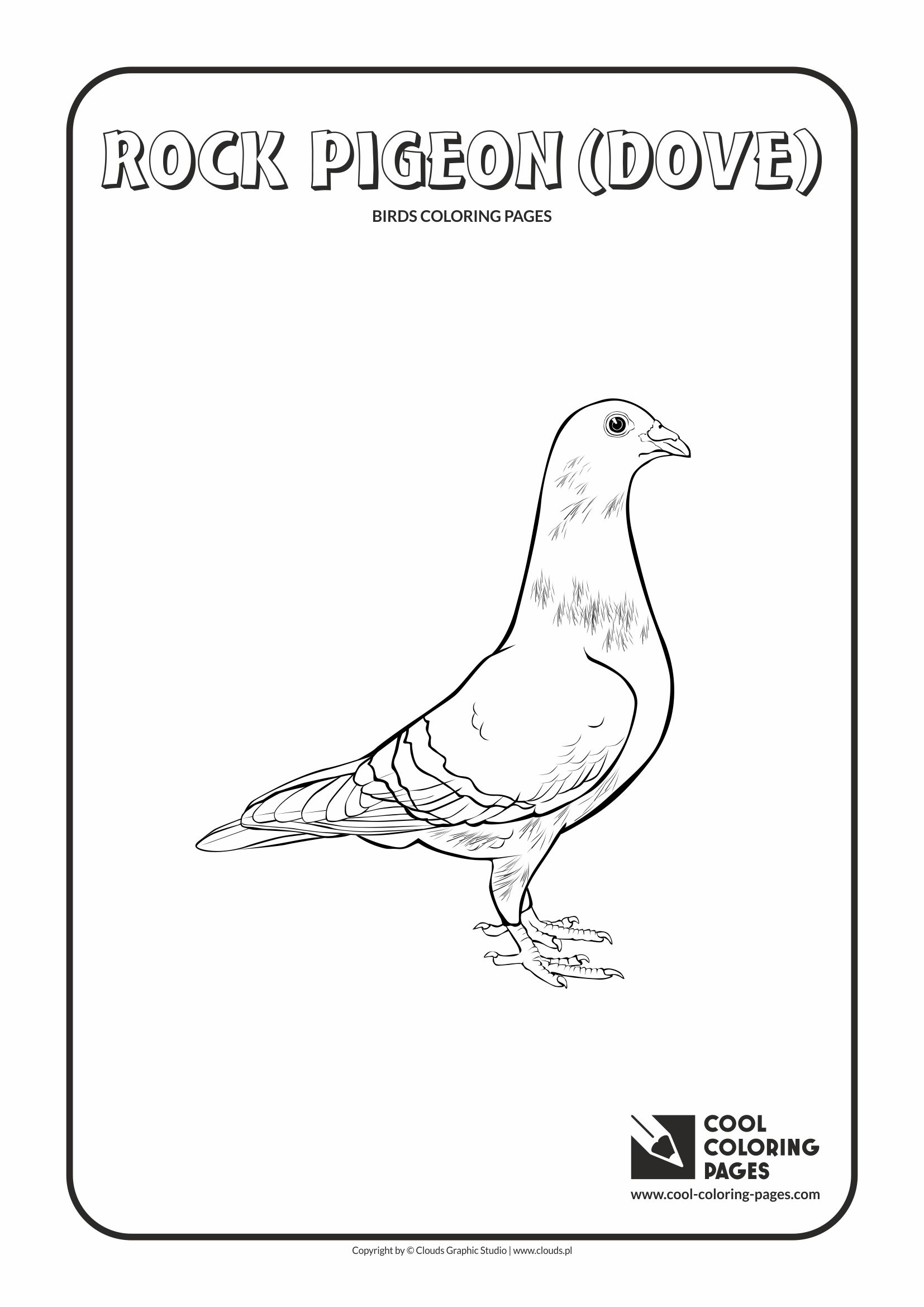 Rock Coloring Page Cool Coloring Pages Rock Pigeon Coloring Page Cool Coloring Pages