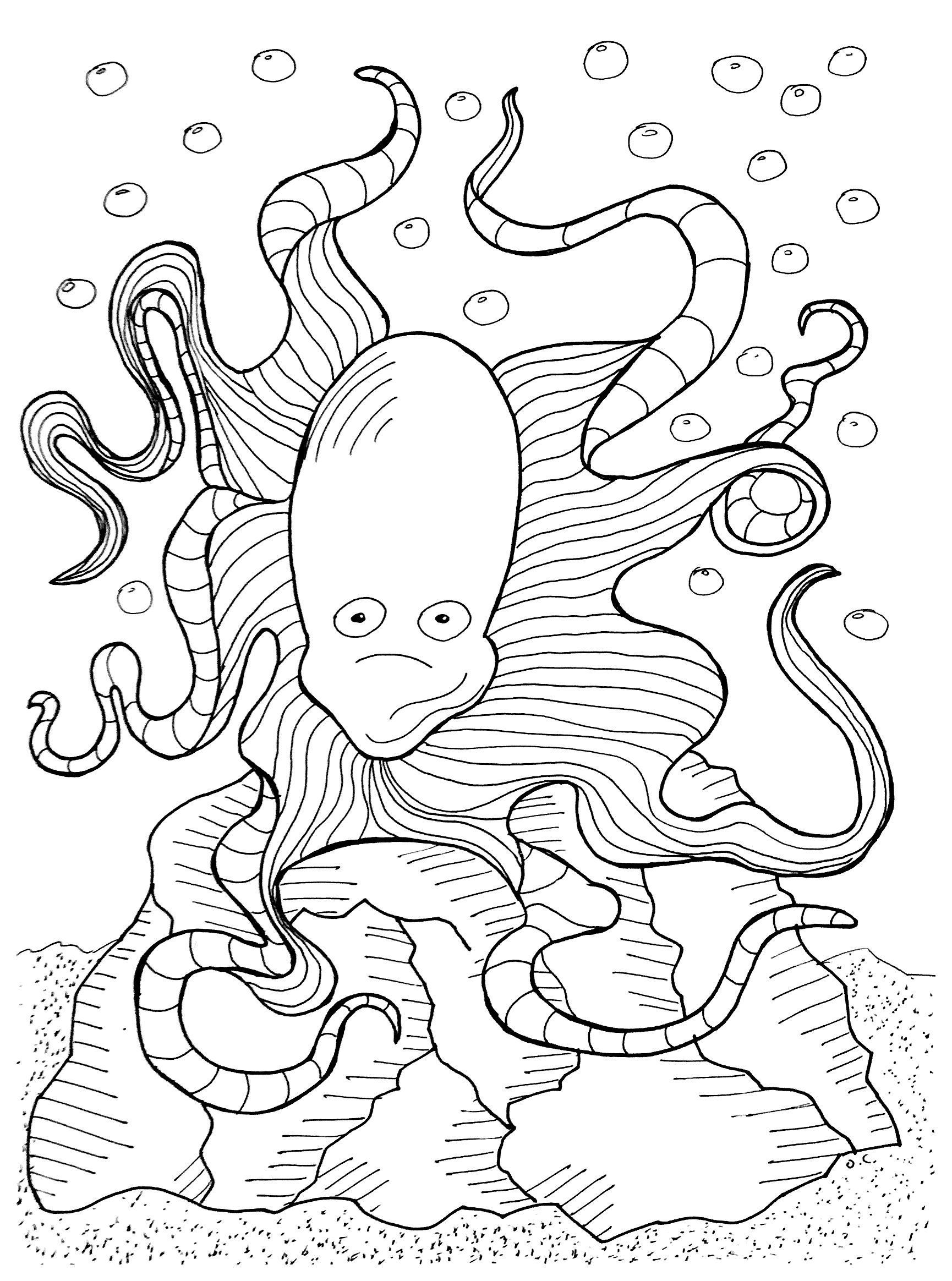 Rock Coloring Page Octopus Olivier Fishes Adult Coloring Pages