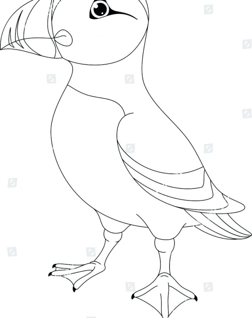 Rock Coloring Page Puffin Rock Coloring Pages With Puffin Coloring Pages To Print