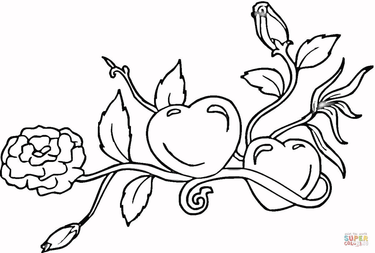 Roses And Hearts Coloring Pages Hearts And Roses Coloring Page Free Printable Coloring Pages