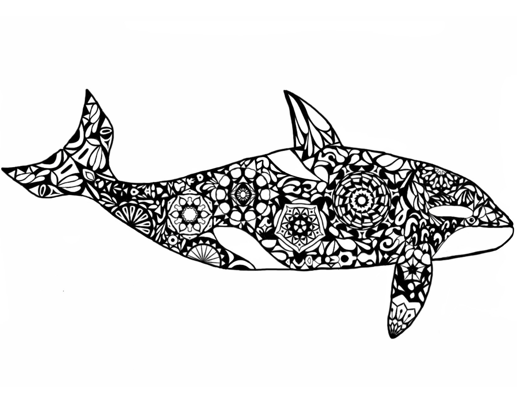 Creative Photo Of Shamu Coloring Pages Vicoms info