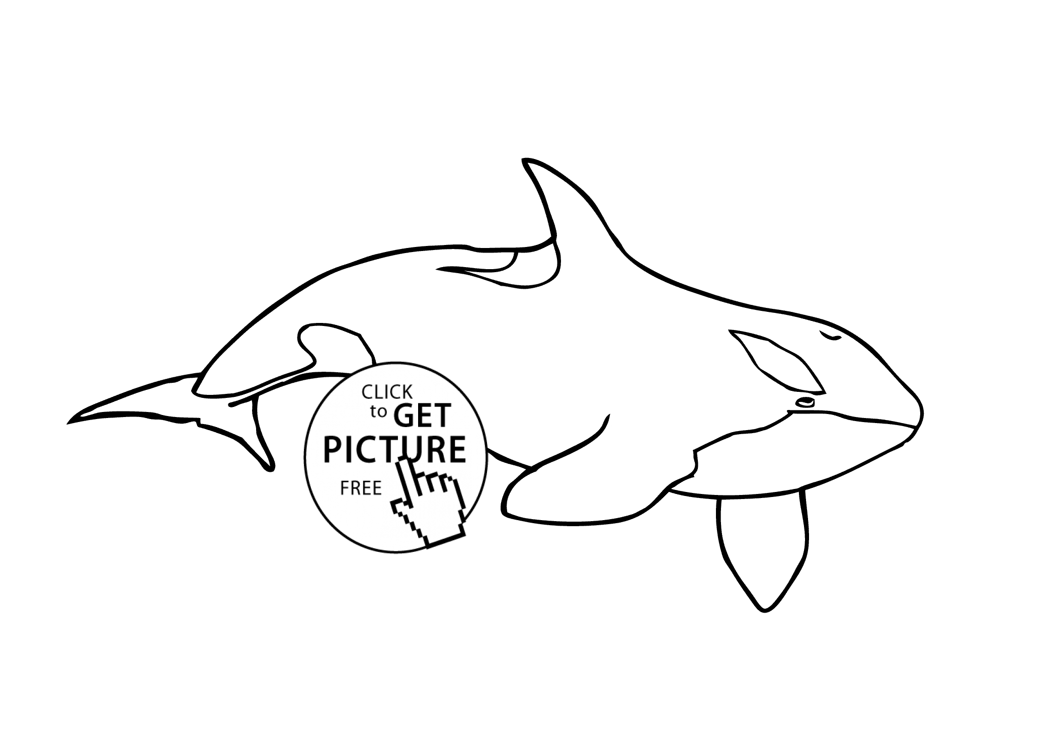 Shamu Coloring Pages Coloring Pages And Books Whale Coloring Pages Orca Pictures