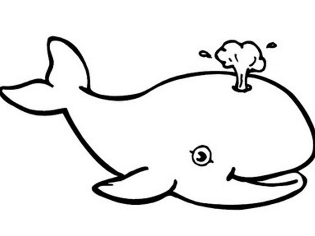 Shamu Coloring Pages Killer Whale Coloring Pages For Kids At Getcolorings Free