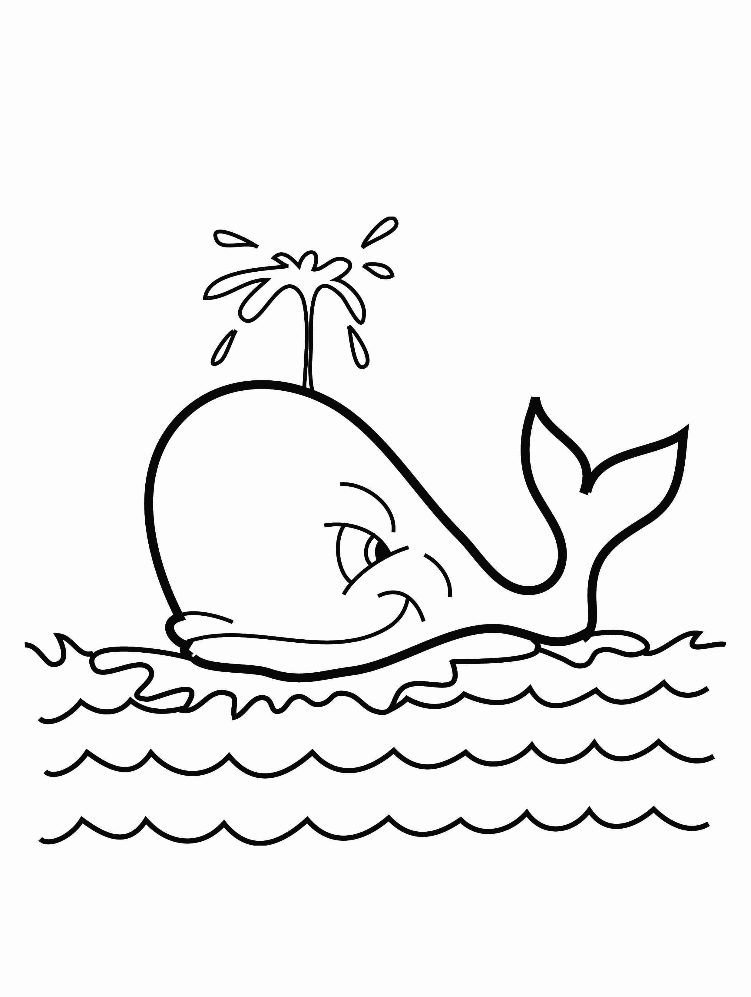 Shamu Coloring Pages Killer Whale Coloring Pages For Kids At Getdrawings Free For