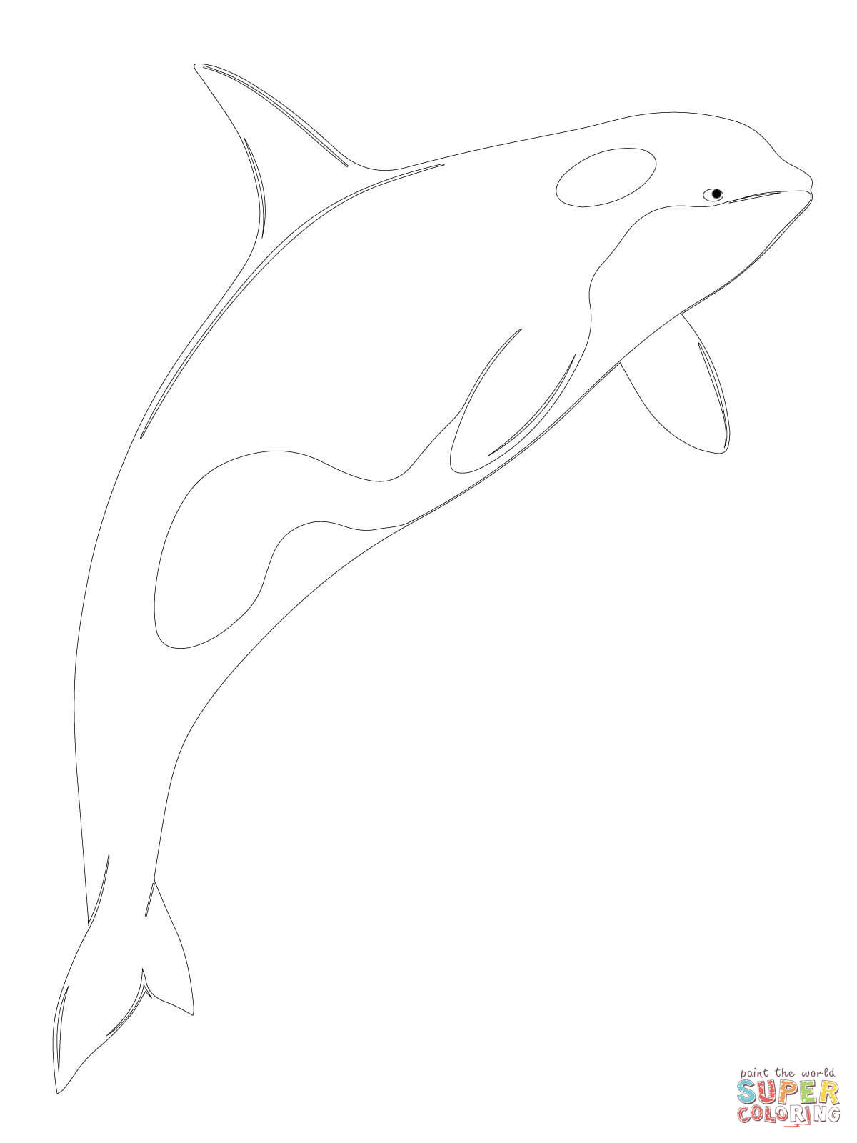 Shamu Coloring Pages Orca Whale Shamu Coloring Page Free Printable Coloring Pages
