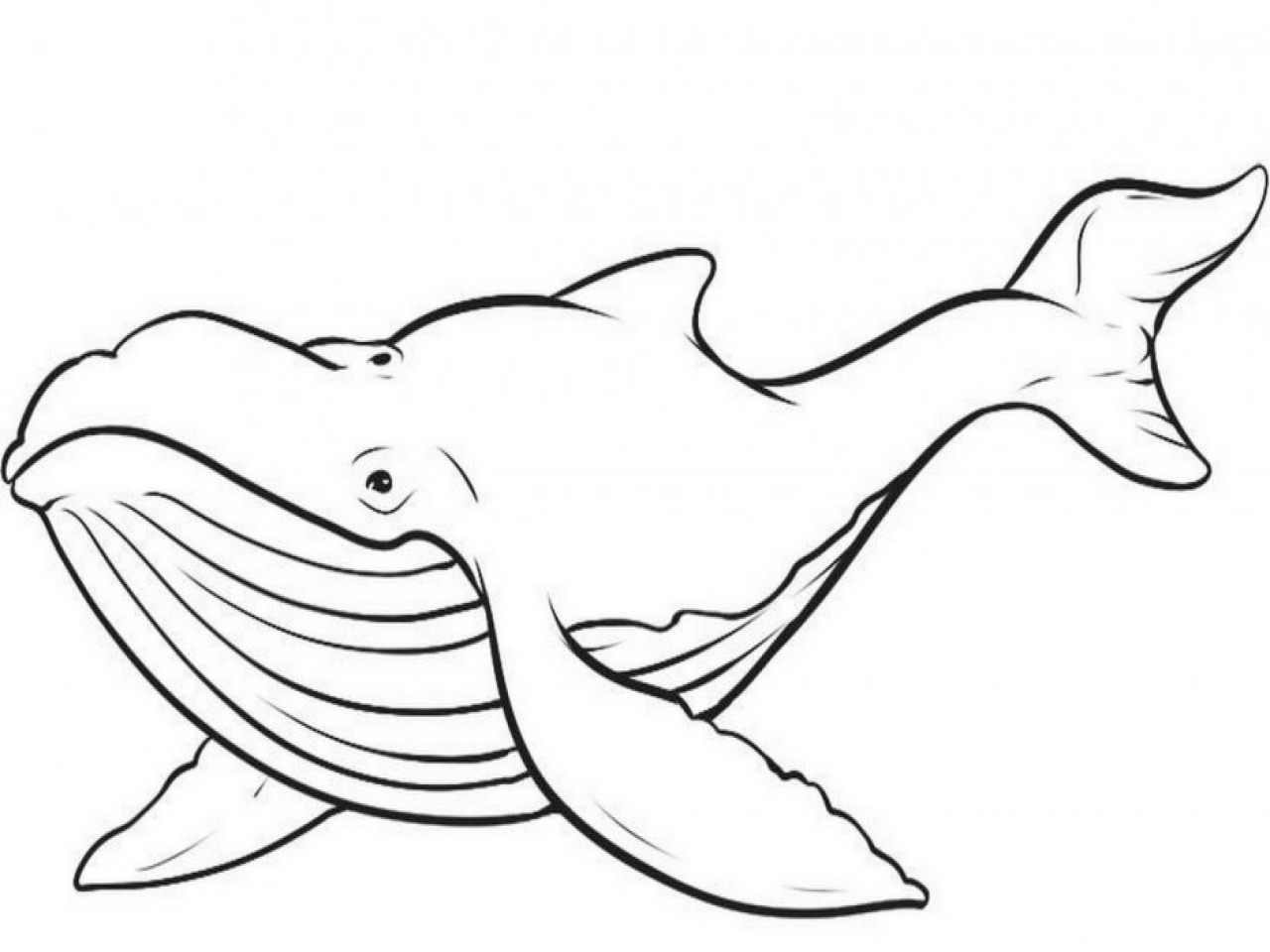 Shamu Coloring Pages Shamu Coloring Pages At Getdrawings Free For Personal Use