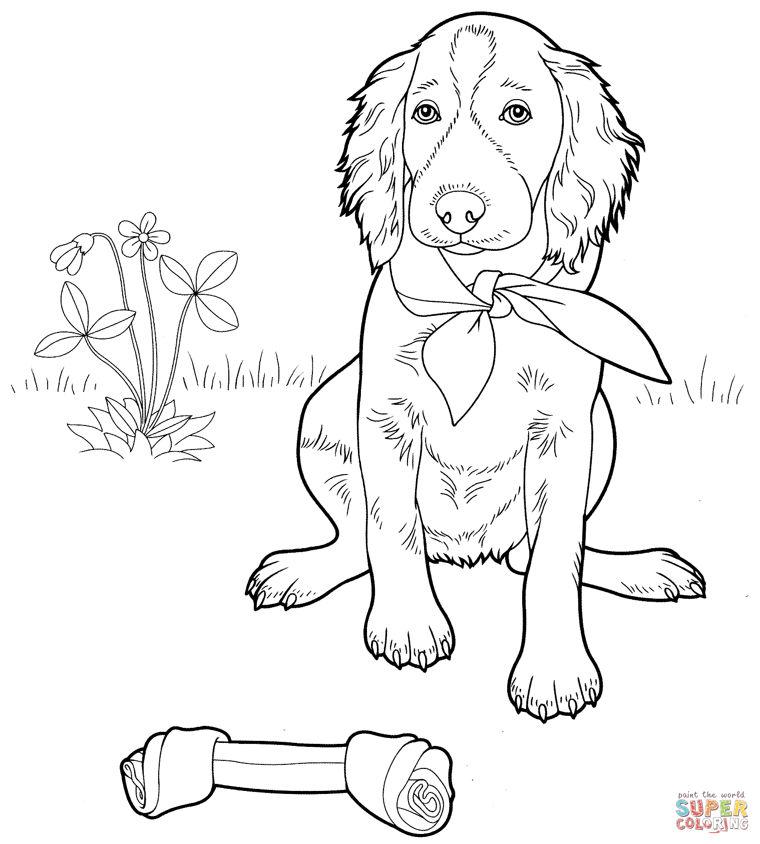 Shih Tzu Puppies Coloring Pages Dogs Coloring Pages Free Coloring Pages