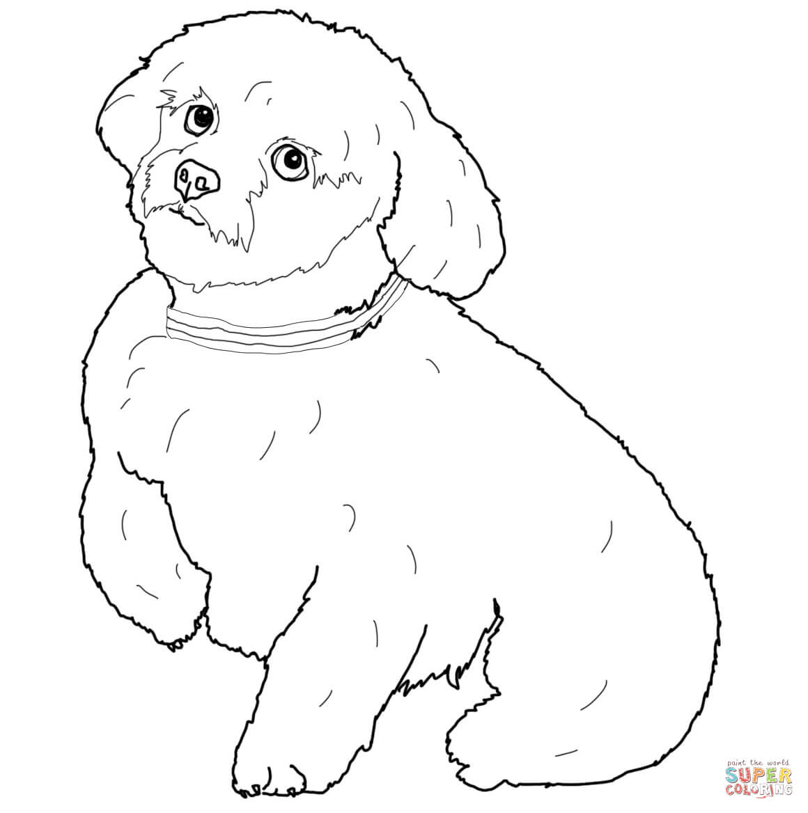 Shih Tzu Puppies Coloring Pages Dogs Coloring Pages Free Coloring Pages