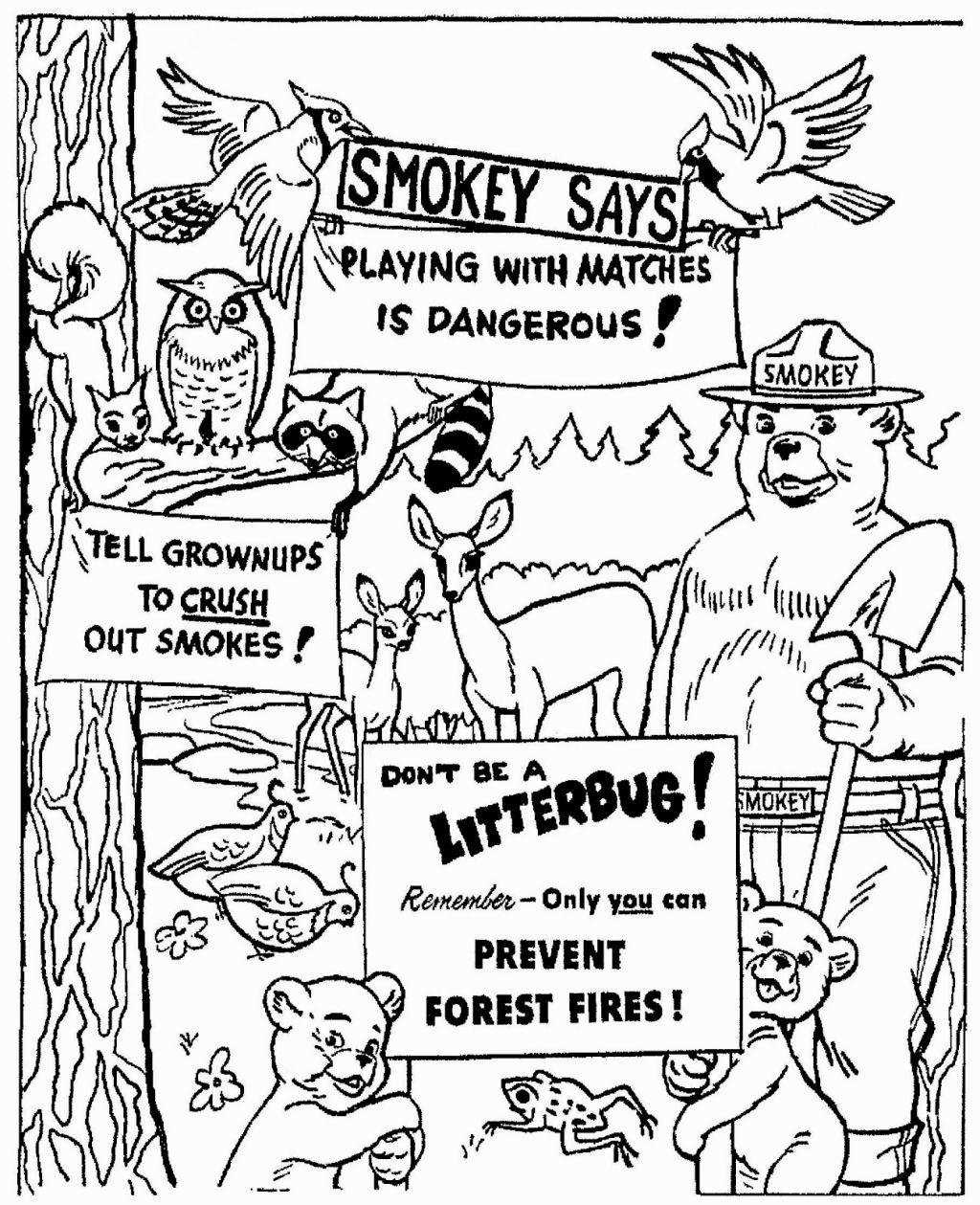 Smokey The Bear Coloring Pages Orca Coloring Pages Coloring Pages