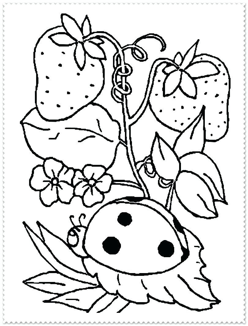 Spring Coloring Pages Coloring Free Spring Coloring Pages