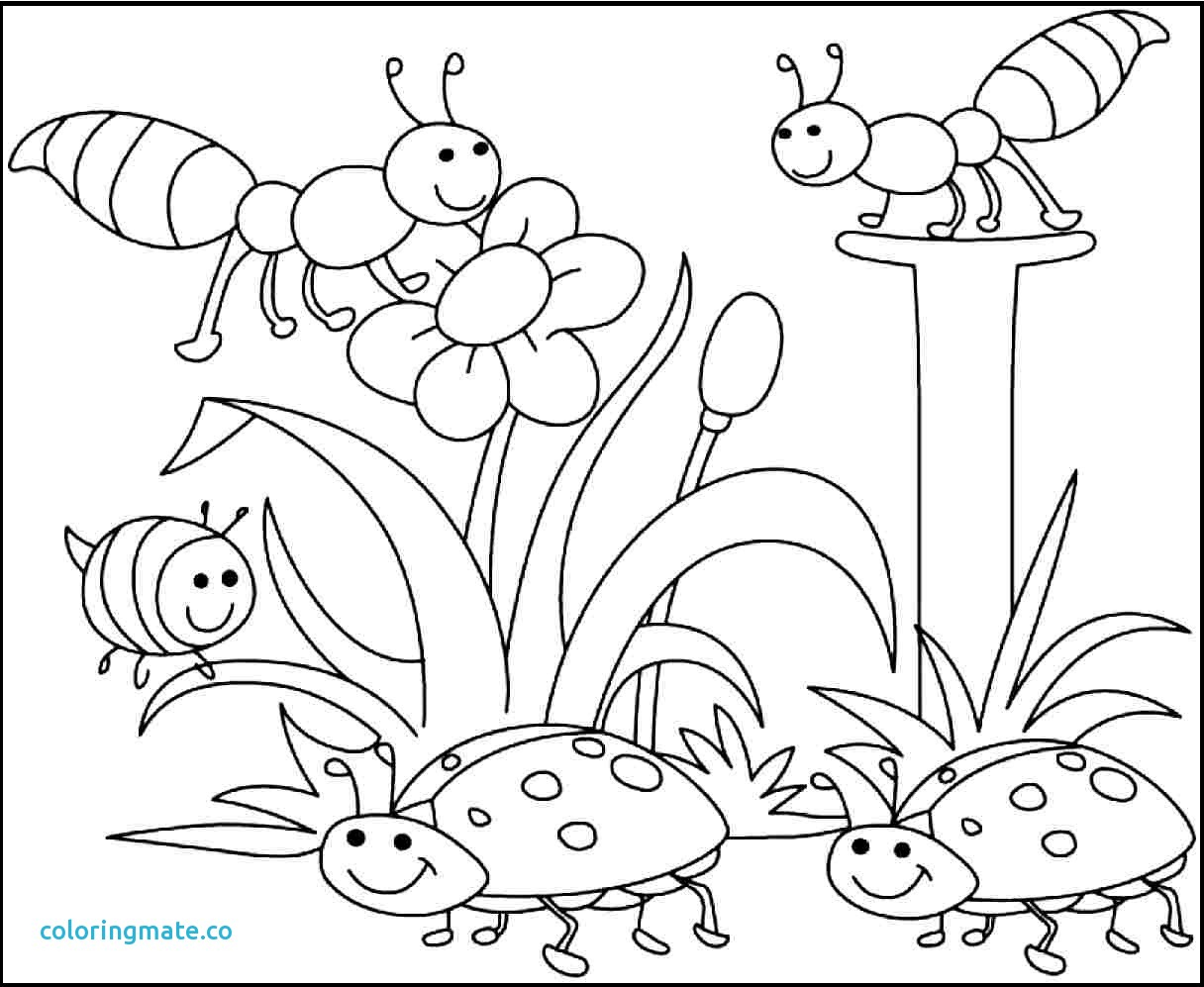Spring Coloring Pages Coloring Sheets Stunning Ideas Free Downloadable Coloring Pages
