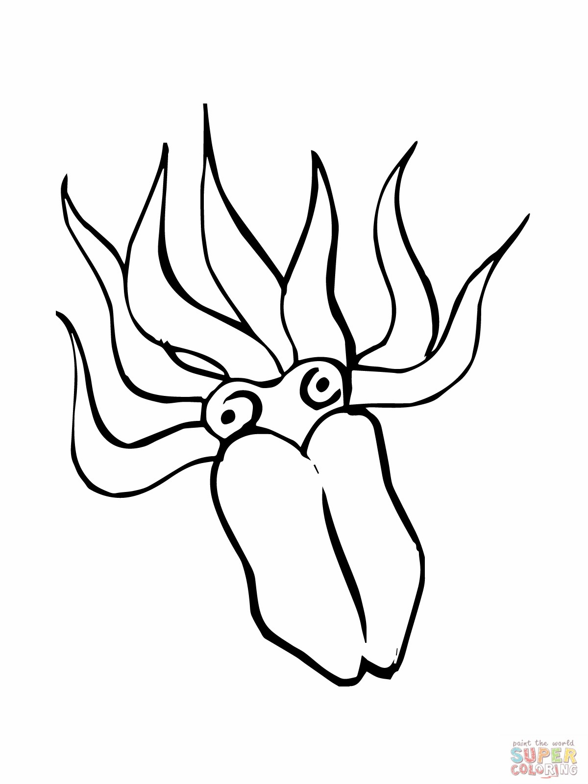 Squid Coloring Pages Printable Category Coloring Page 3 Lrcp Coloring Page