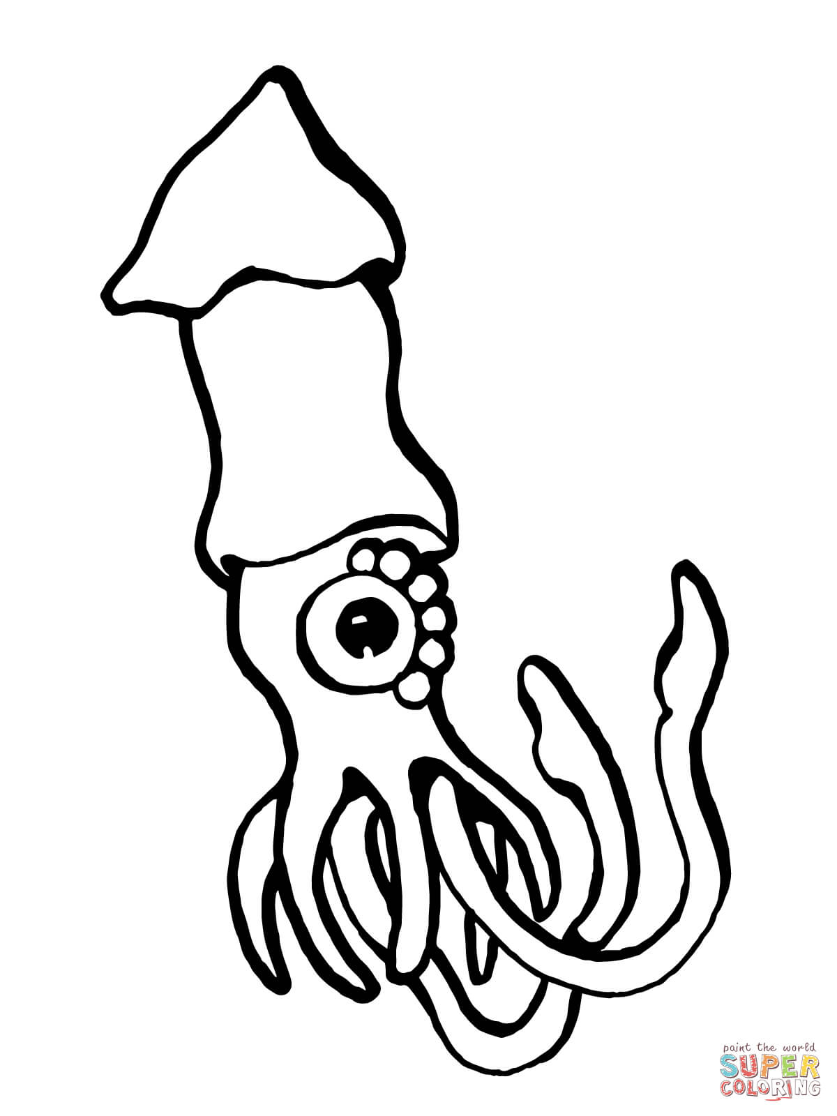 Squid Coloring Pages Printable European Squid Coloring Page Free Printable Coloring Pages