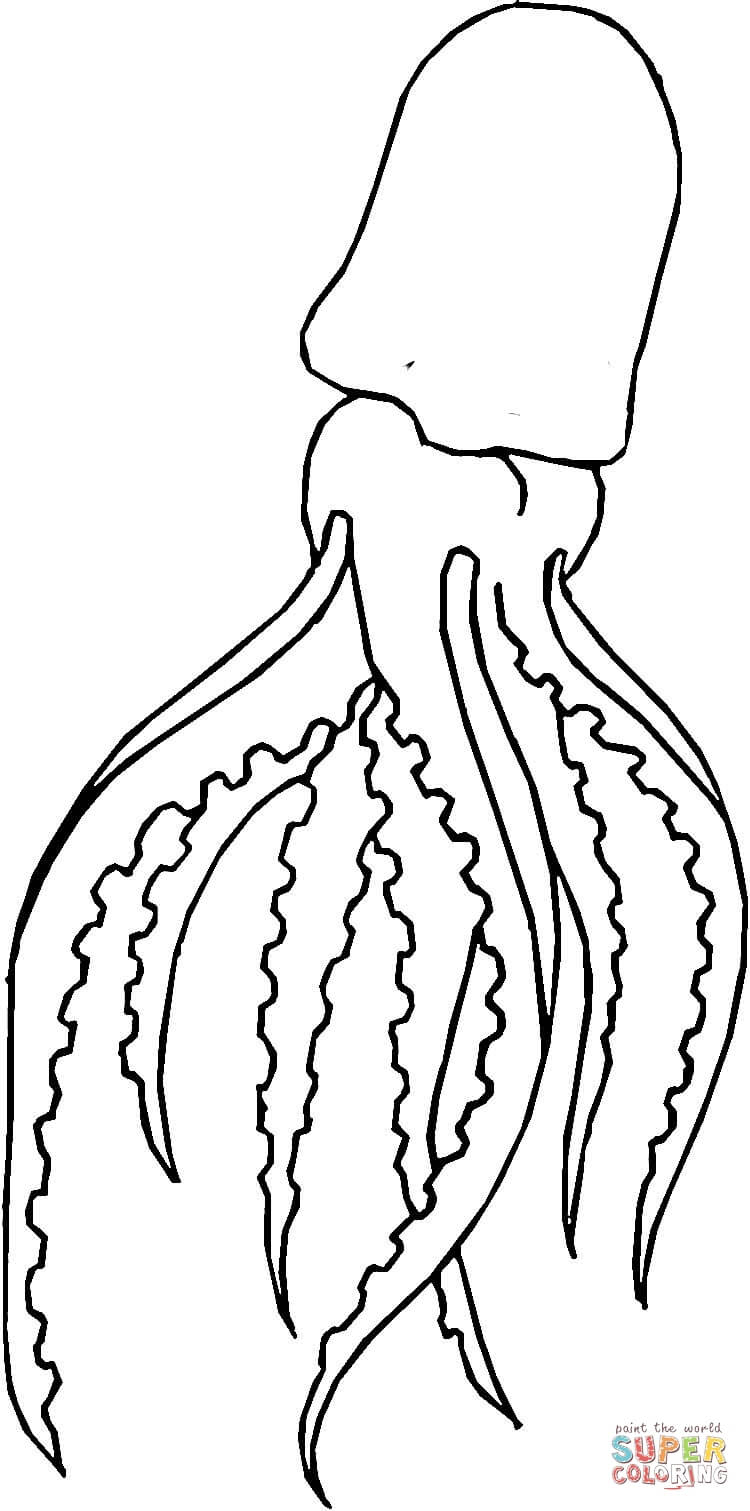 Squid Coloring Pages Printable Giant Squid Coloring Page Free Printable Coloring Pages