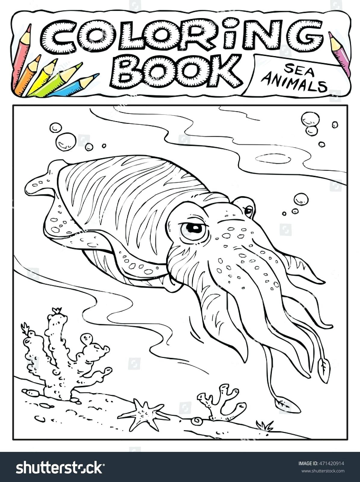 Squid Coloring Pages Printable Giant Squid Coloring Sheet Fiestaprintco
