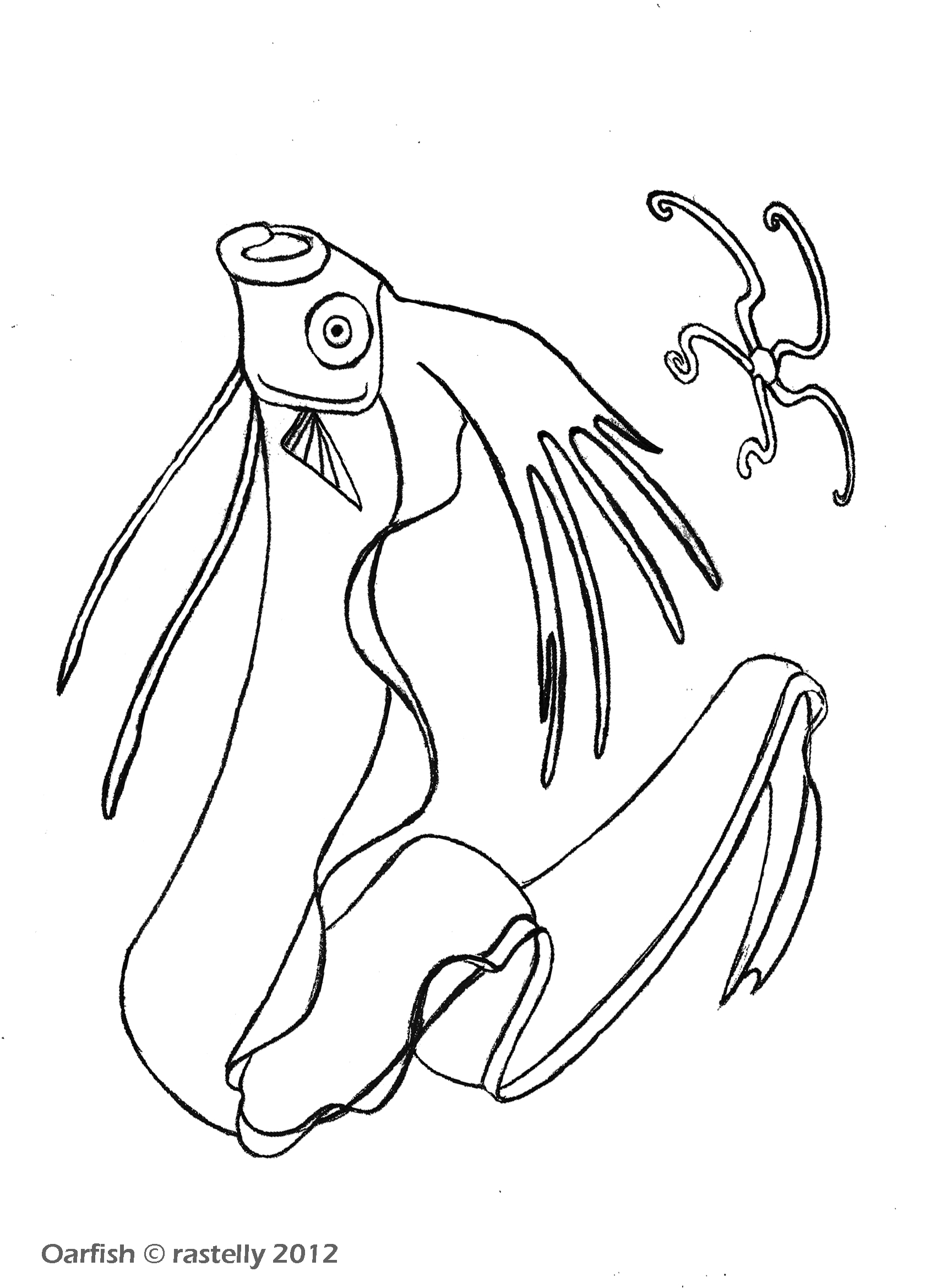 Squid Coloring Pages Printable Squid Coloring Page Coloring 365
