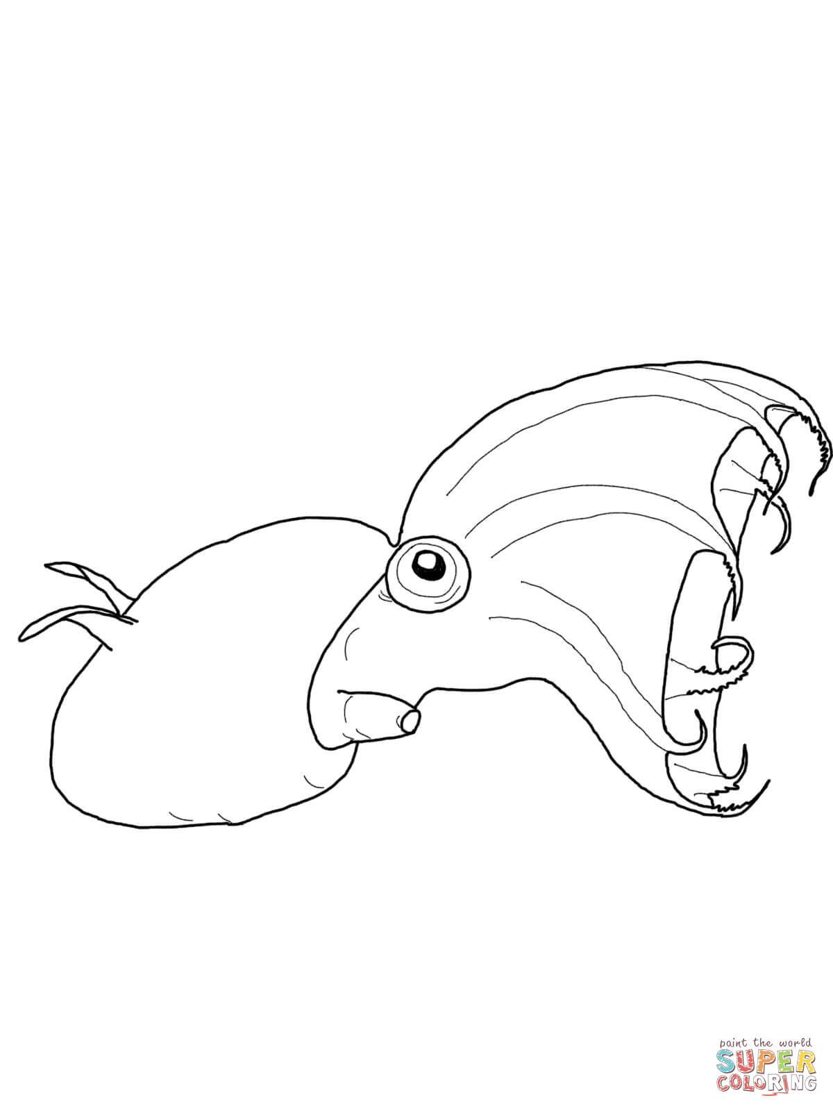 Squid Coloring Pages Printable Squid Coloring Pages Free Coloring Pages