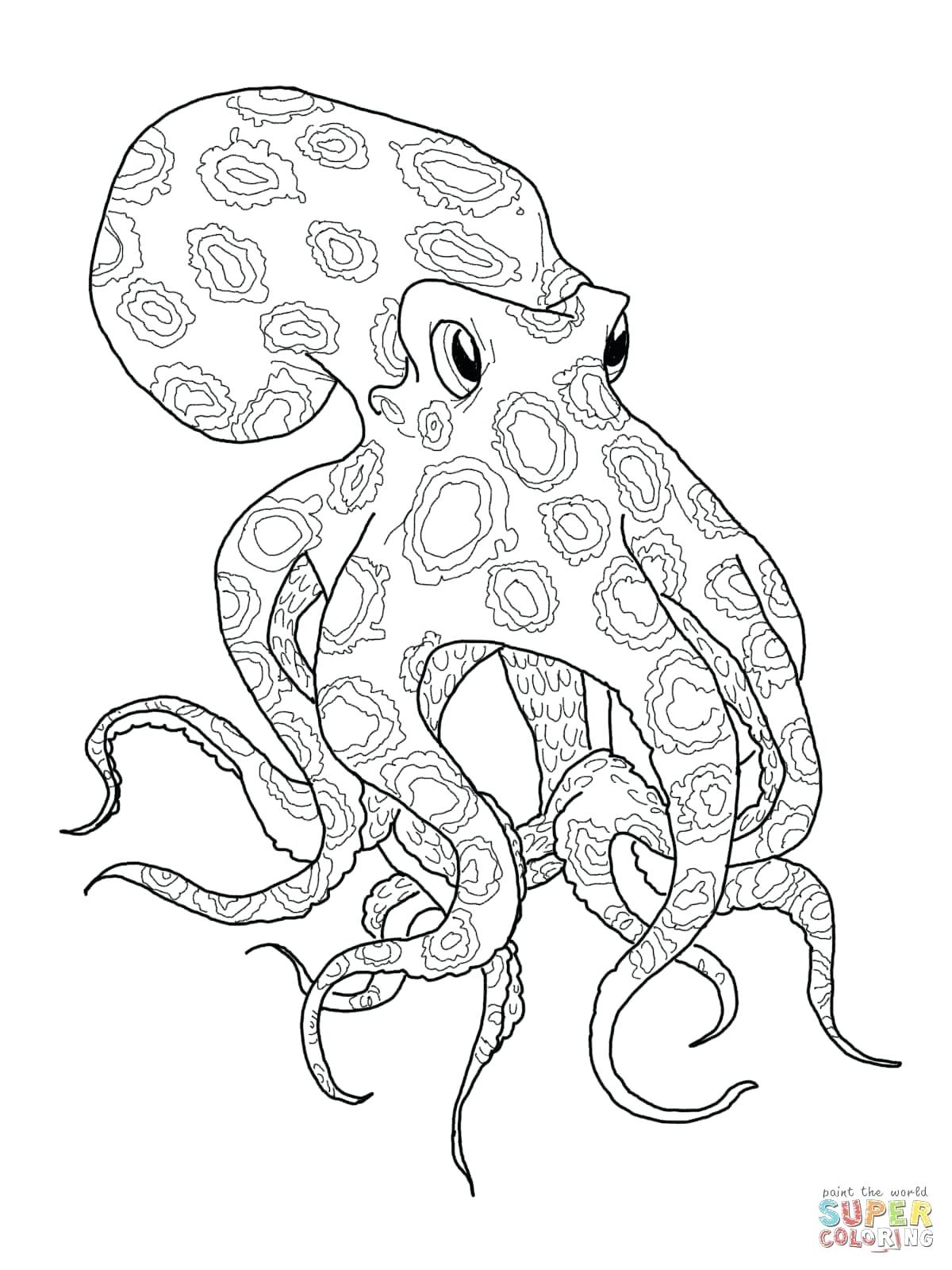 Squid Coloring Pages Printable Vampire Squid Coloring Page Dracosheetco
