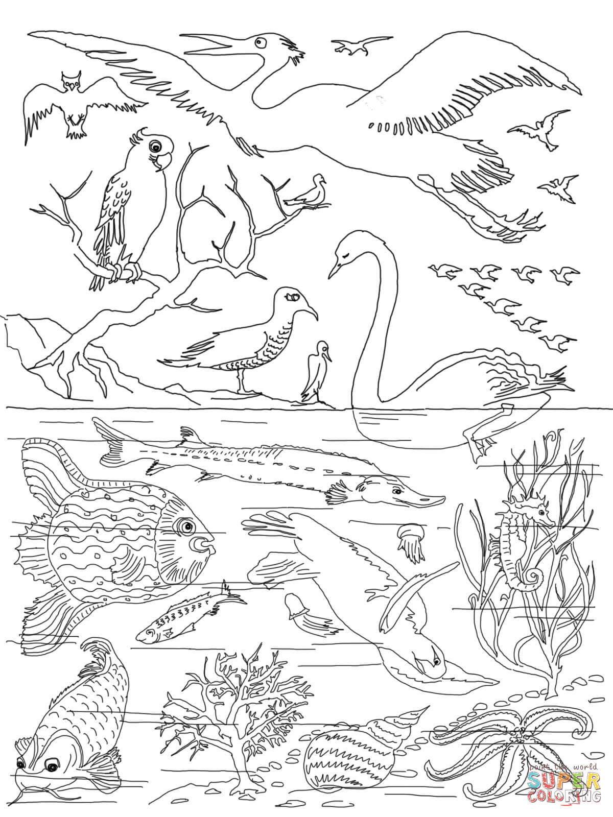 Story Coloring Pages 5th Day Of Creation Coloring Page Free Printable Coloring Pages