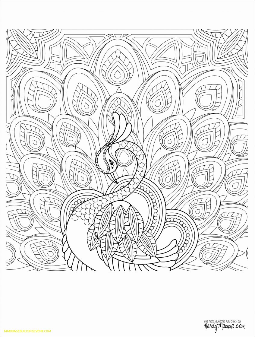 Thanksgiving Day Coloring Pages Free Coloring Pete The Cat Coloring Page Ive My White Shoes New Best