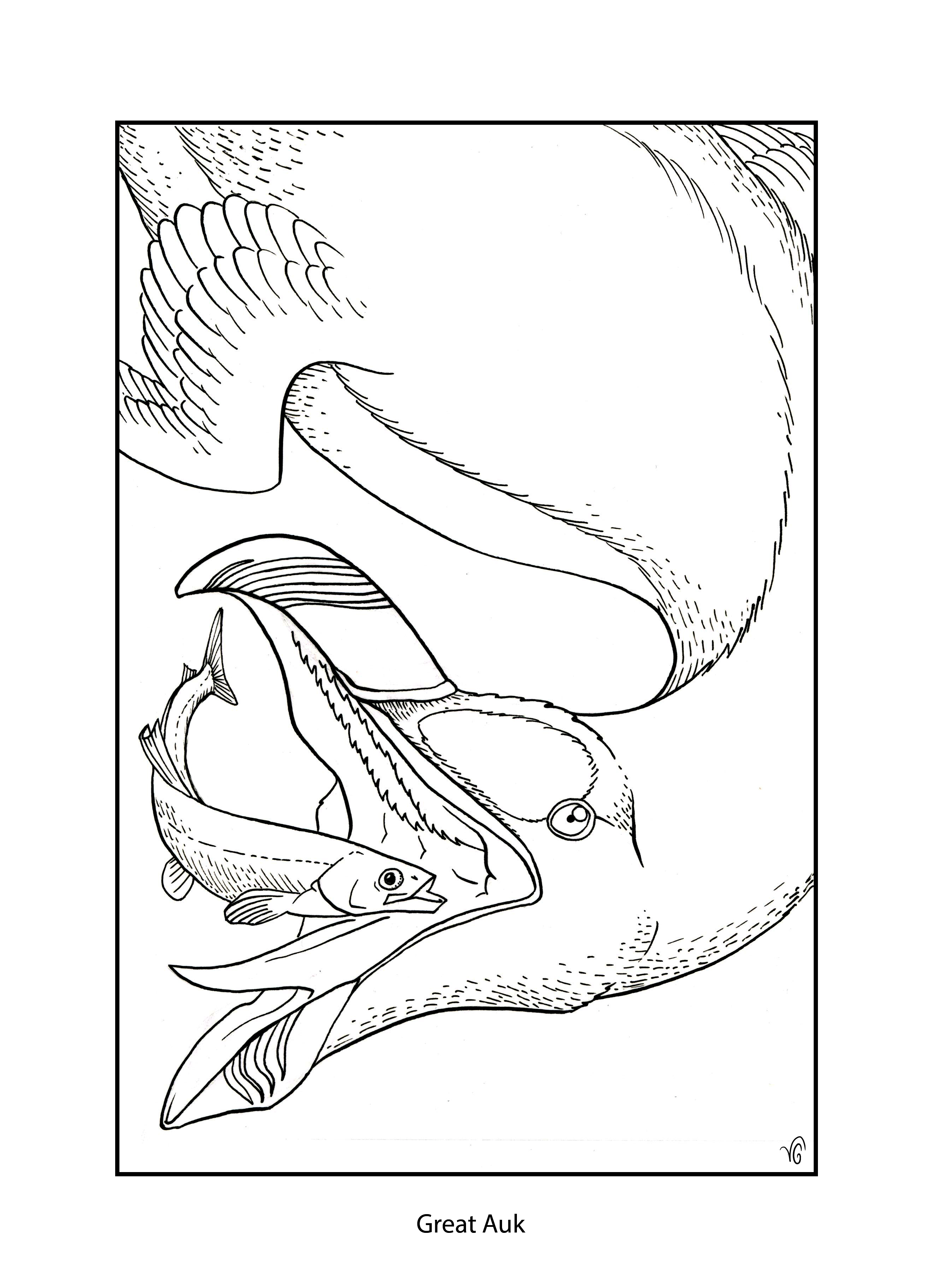 The Very Clumsy Click Beetle Coloring Pages Blast From The Past K 12 Education K 12 Education
