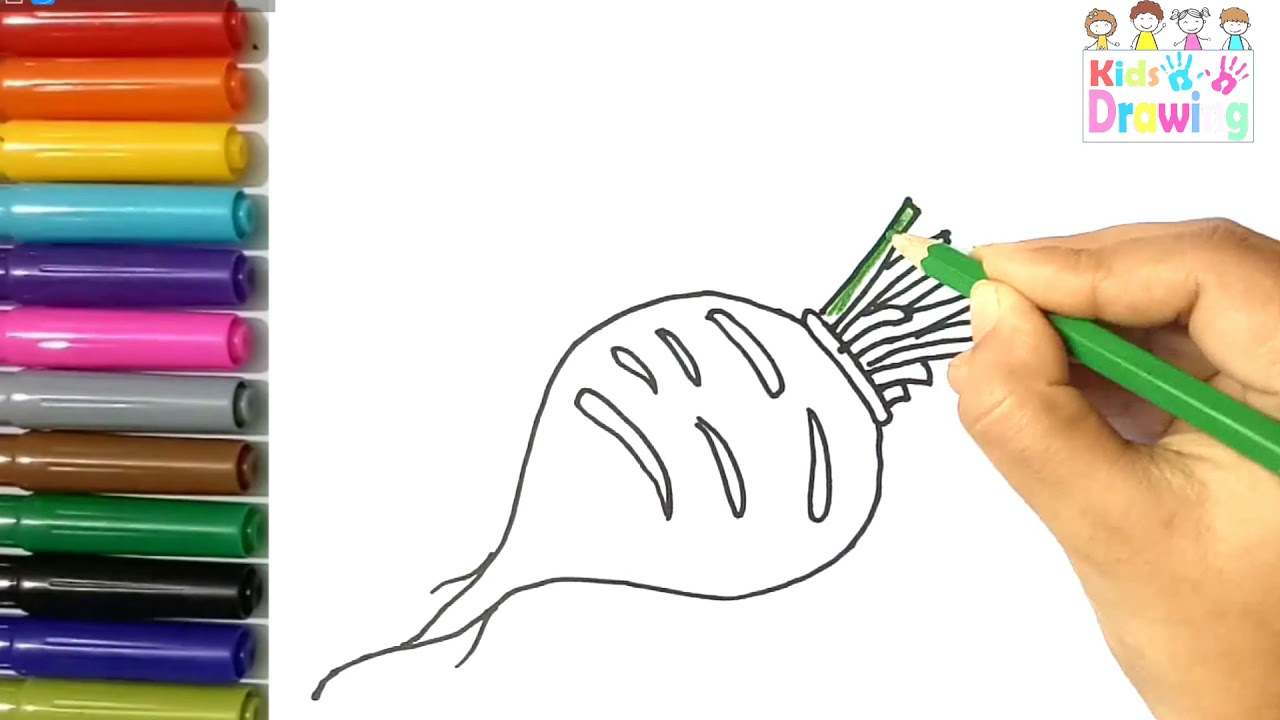 Turnip Coloring Page How To Draw Turnipcoloring Page For Kids