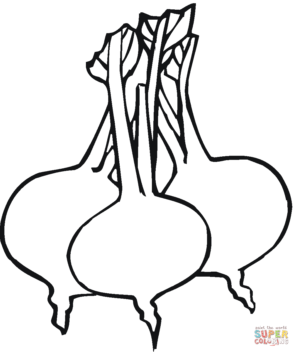 Turnip Coloring Page Preschool Beetroot Coloring Pages Coloring Home
