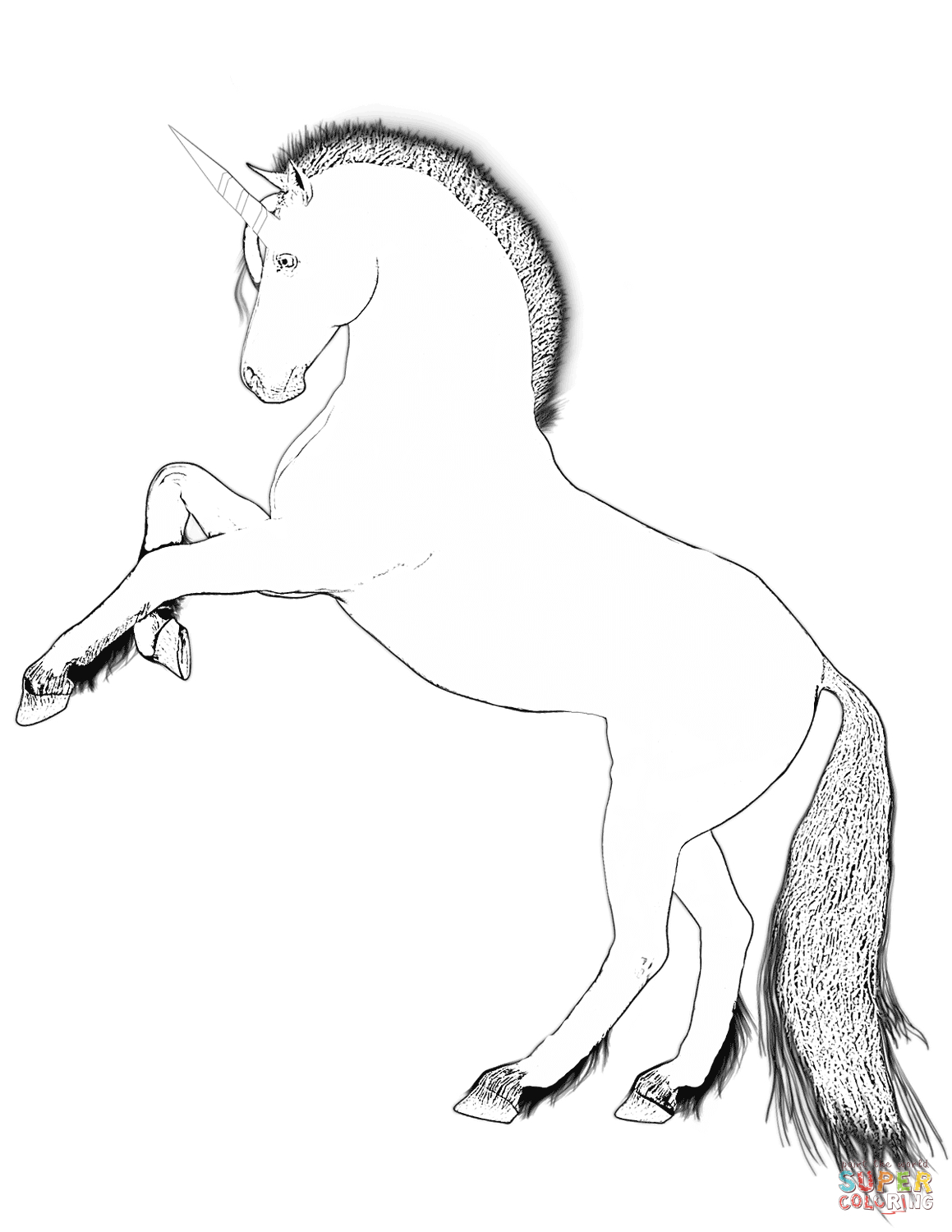 Unicorno Coloring Pages Unicorn Coloring Pages Free Coloring Pages