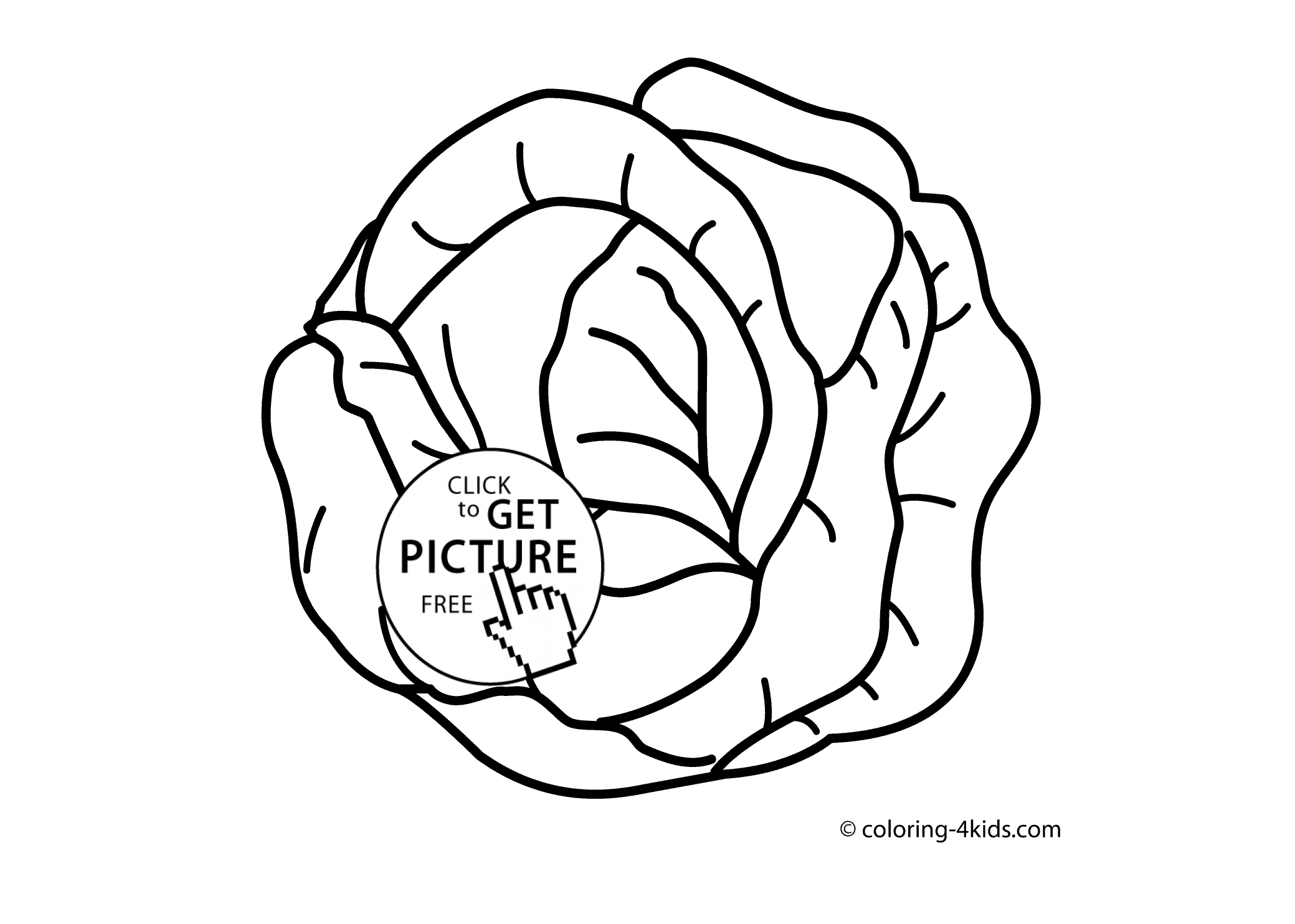 Vegetables Coloring Page Cabbage Vegetable Coloring Page For Kids Printable Coloing 4kids