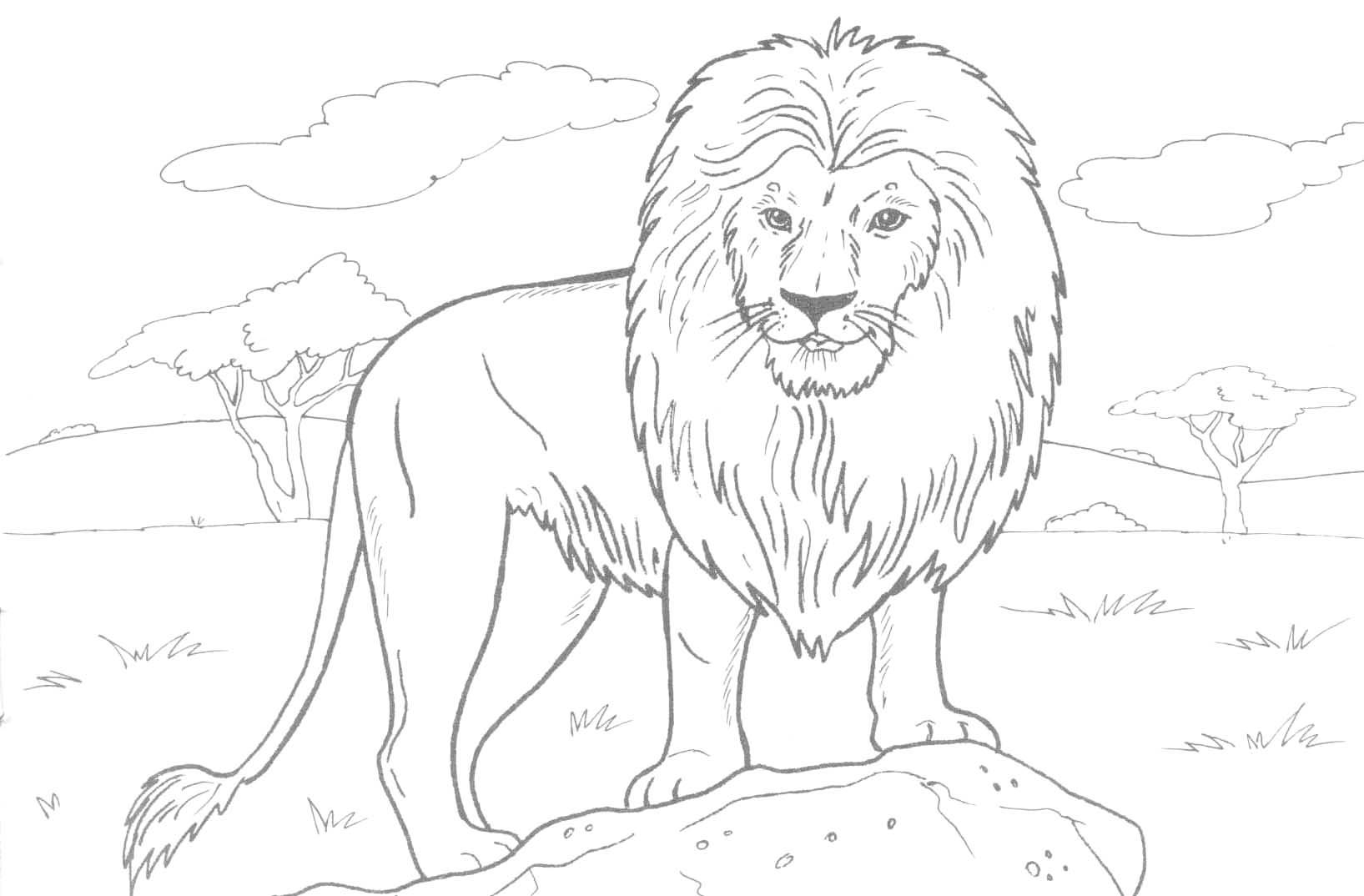 Voltron Coloring Pages Free Exclusive Idea Coloring Pages Lions Free Printable Lion For Kids Of